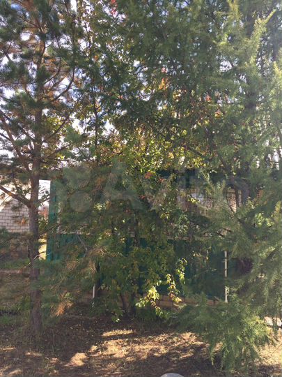 Дом 76,8 м² на участке 20 сот.