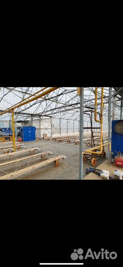 Профессиональная фермерская теплица