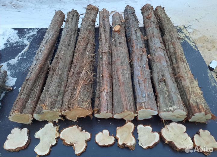 Спилы,стволы дерева можжевельник для декора