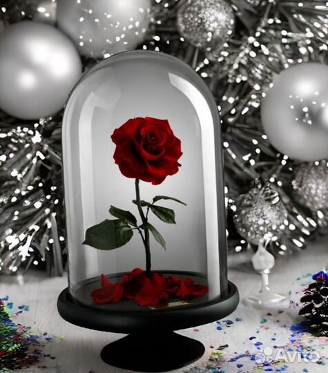 Стабилизированная Роза в колбе на День учителя