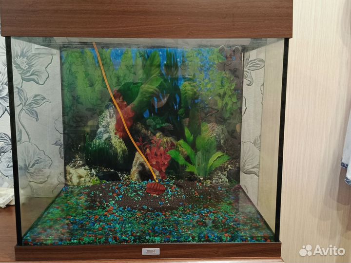 Аквариум