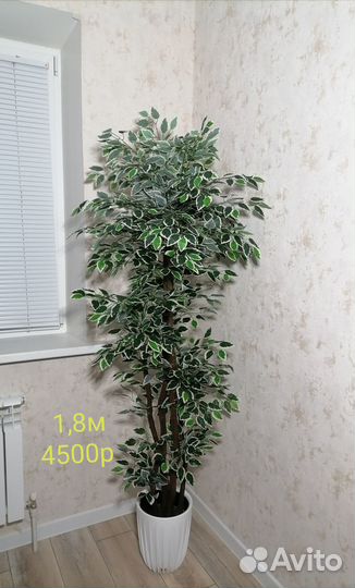 Искусственный фикус