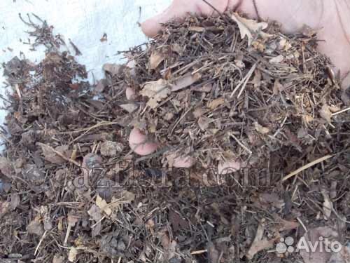 Мульчирование иголками сосны. Мульчирование хвойников. Мульчирование роз корой сосны. Сосновый опад применение в саду. Мульча хвойная.