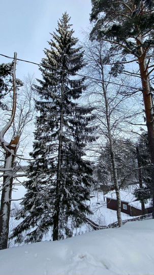 Коттедж 56 м² на участке 25 сот.