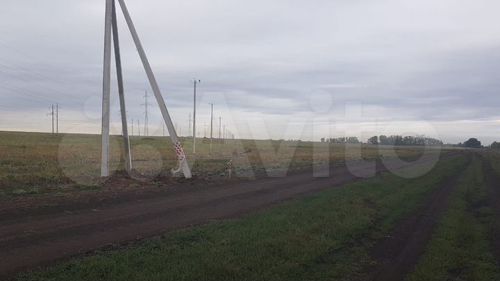 Участок 8 сот. (СНТ, ДНП)