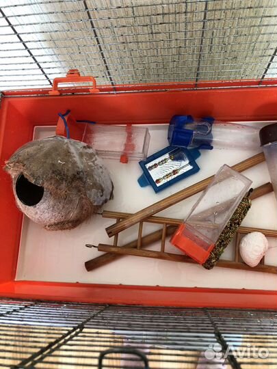 Большая клетка для птиц