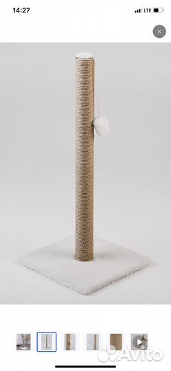 Когтеточка