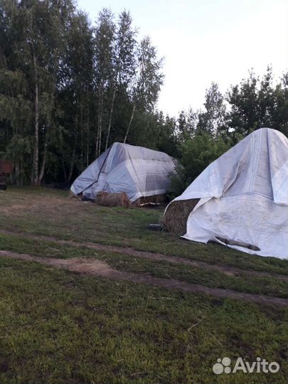 Сено в рулонах