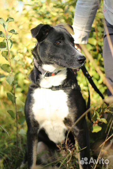 Скромная Магда