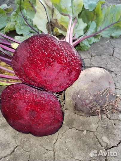 Продукты питания оптом