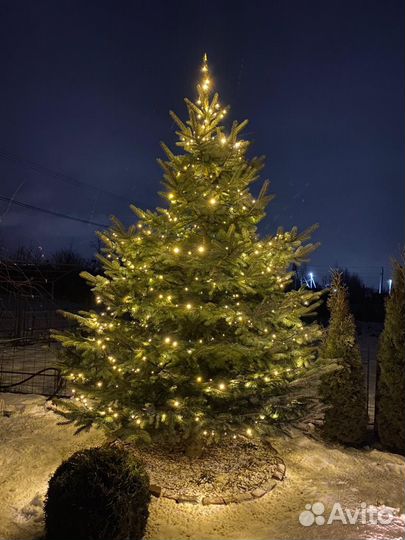 Гирлянда (нить) 24В