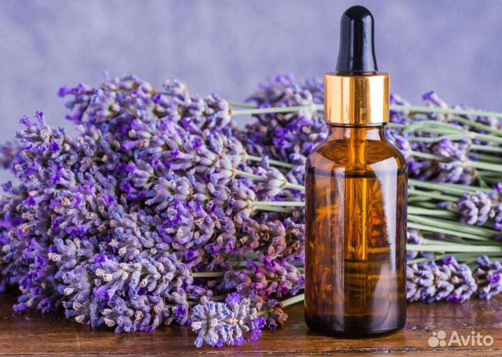 Мацерат лаванды, лавандовое масло