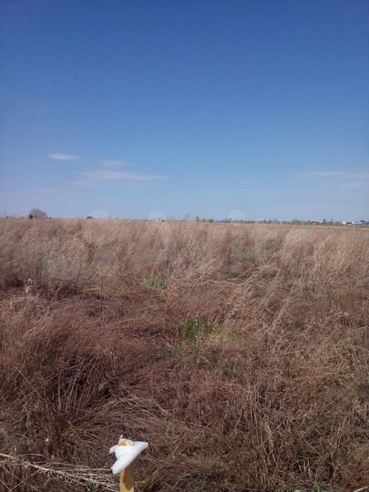 Участок 16 сот. (ИЖС)