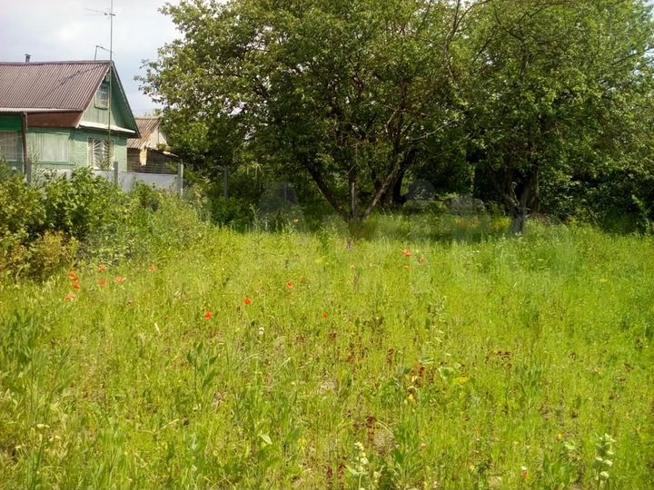 Участок 5,2 сот. (СНТ, ДНП)
