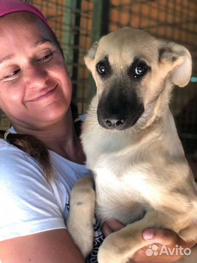 Он еще малыш, ему тяжело ищет маму