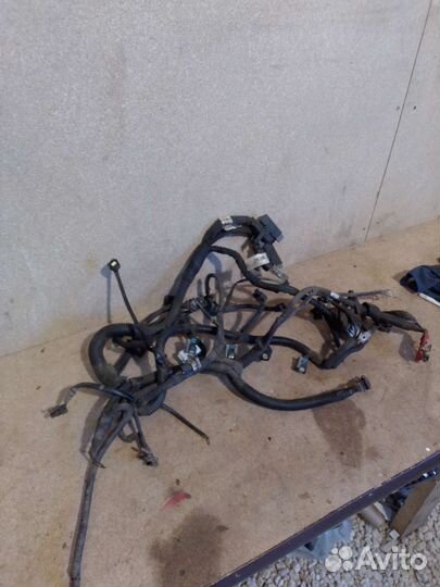 Проводка двигателя коса Chevrolet Aveo T 200