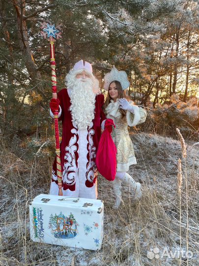 Дед мороз и снегурочка на дом