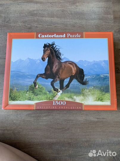 Пазлы с лошадьми (нарисована лошадь)