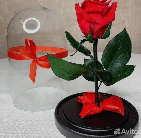 Роза в колбе. Любые размеры