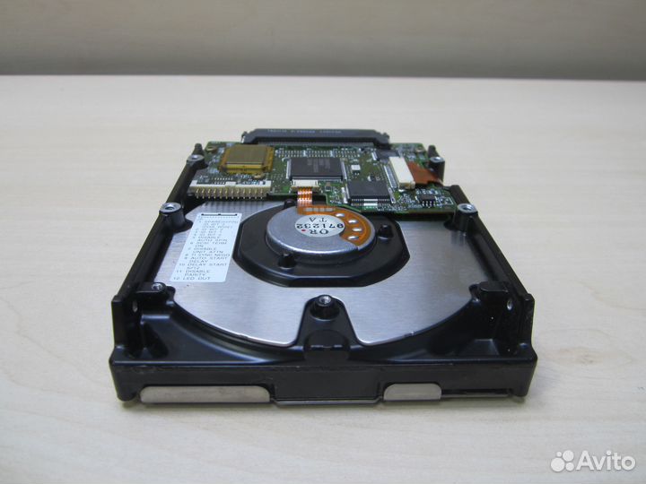 HDD IBM dcas-32160 (2,1GB) scsi SCA-80 №17