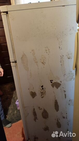 Холодильник Indesit