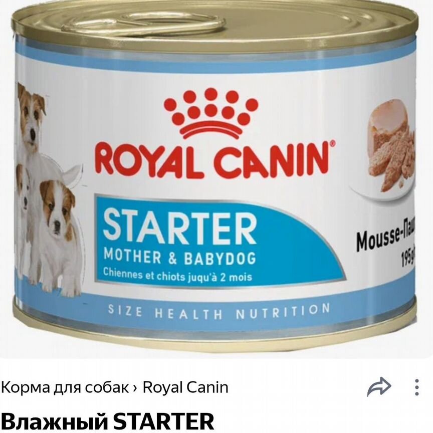 Корм для собак royal canin starter мусс