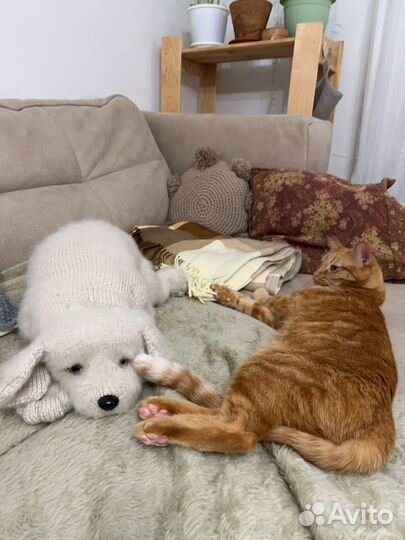 Щенок ручной вязки (Claire Garland)