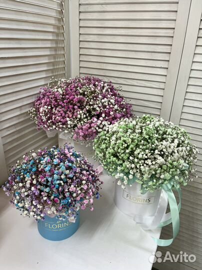 Гипсофила в коробке