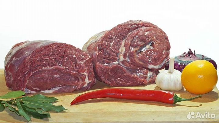 Пашина лося