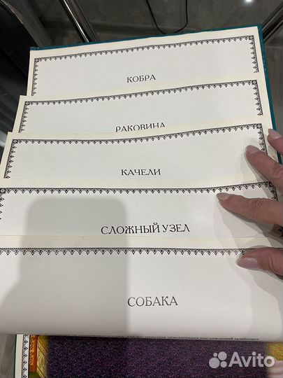 Книга камасутра