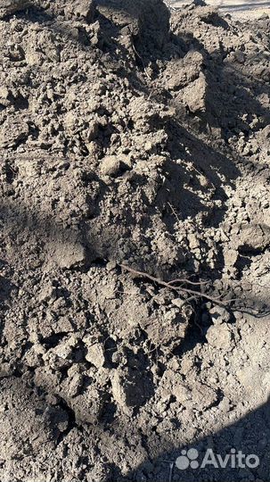 Чернозем (грунт, земля)