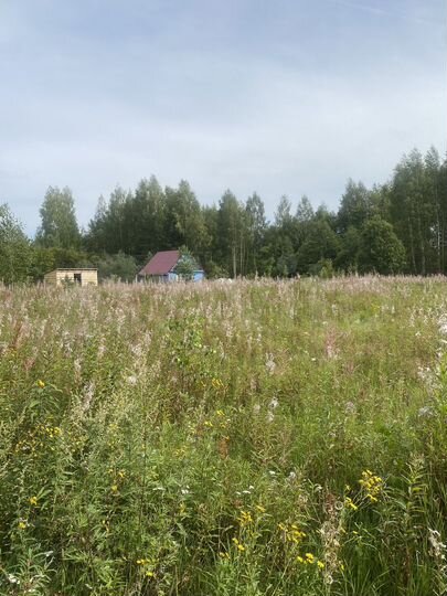Участок 16 сот. (ИЖС)