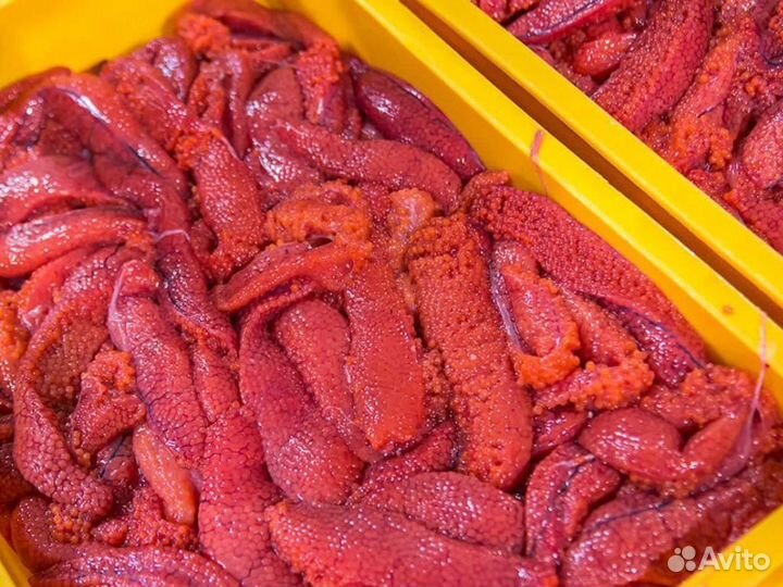 Готовый бизнес дропшиппинг красной икры