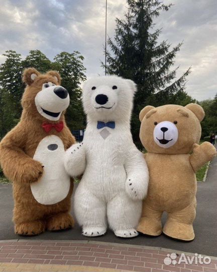 Поздравление от огромного медведя