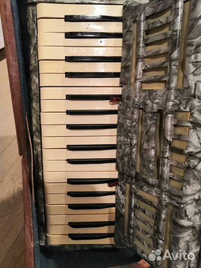 Аккордеон