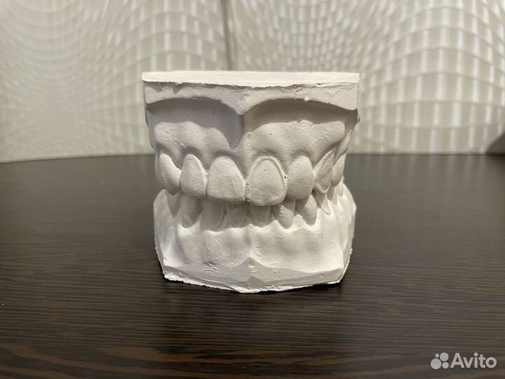 Гипсовые челюсти