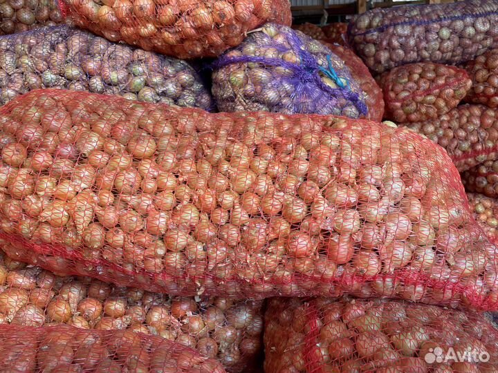 Лук на зелень