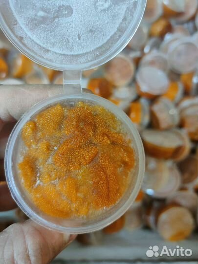 Икра морского ежа 50грамм