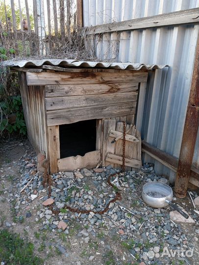 Будка для большой собаки