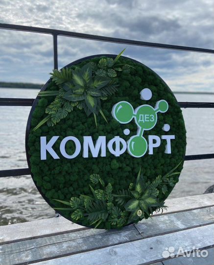 Картина из стабилизированного мха