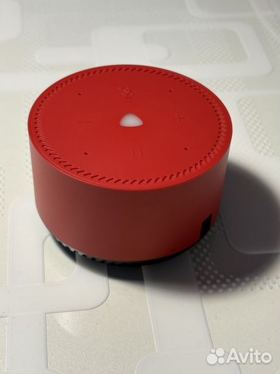 Станция алиса lite