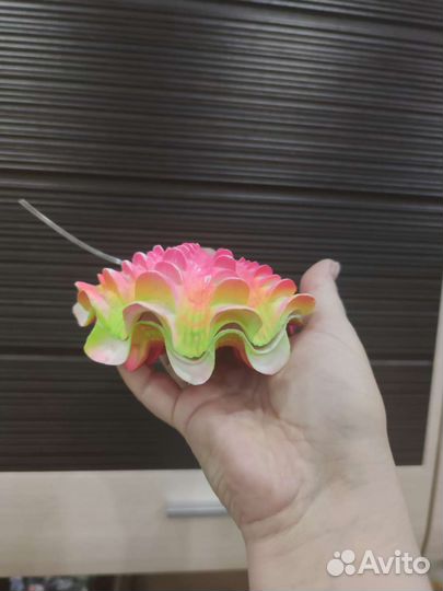 Аквариумные товары