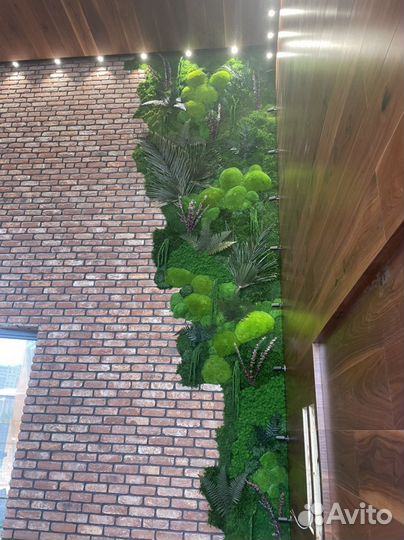 Папоротник, мох