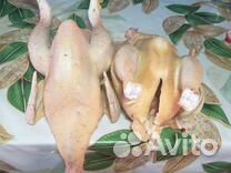 Мясо молодых петушков