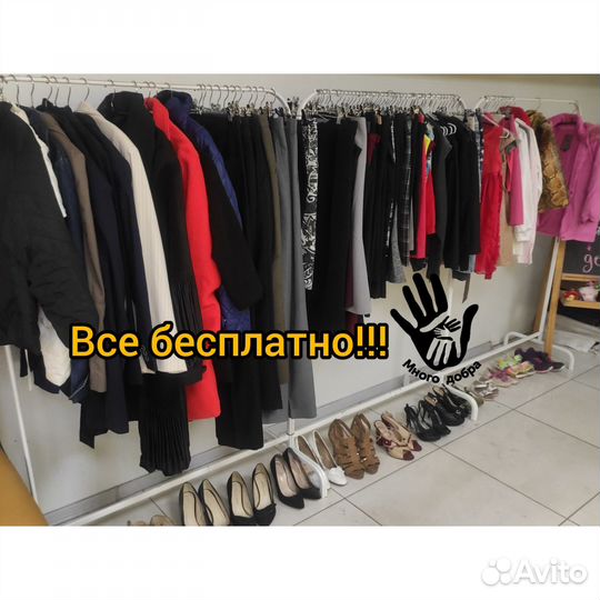 Женская одежда