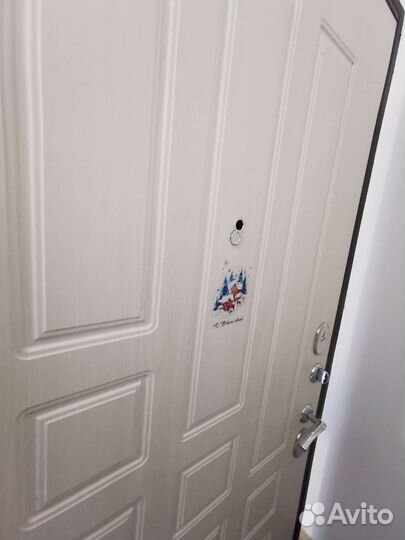 Входная металлическая дверь