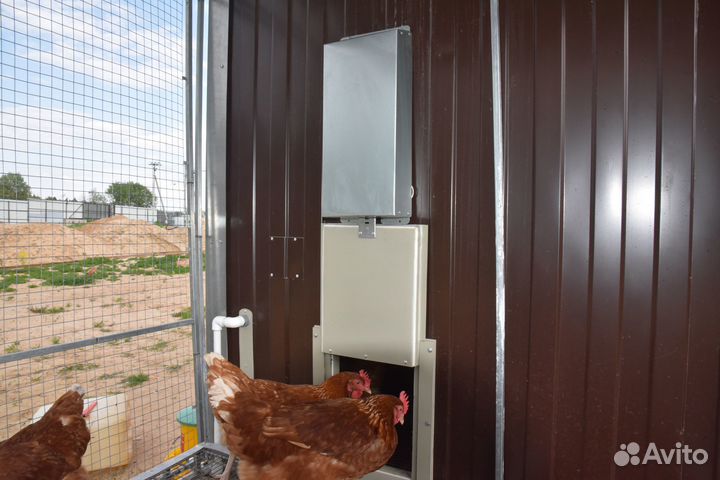 Автоматическая дверца В курятник С фотореле