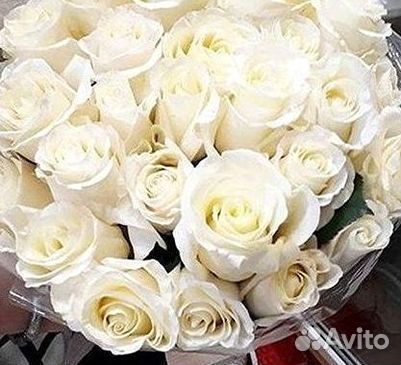 Высокие розы Гигантские розы с доставкой