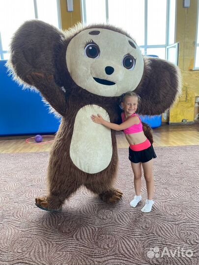 Ростовые куклы/надувные костюмы