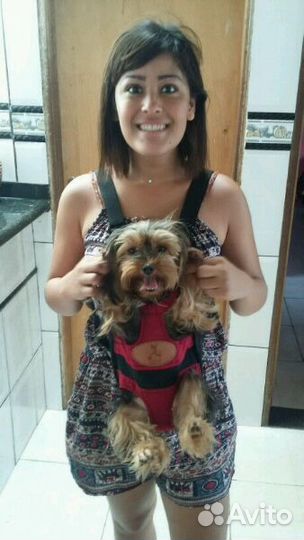 Рюкзак для переноски собак